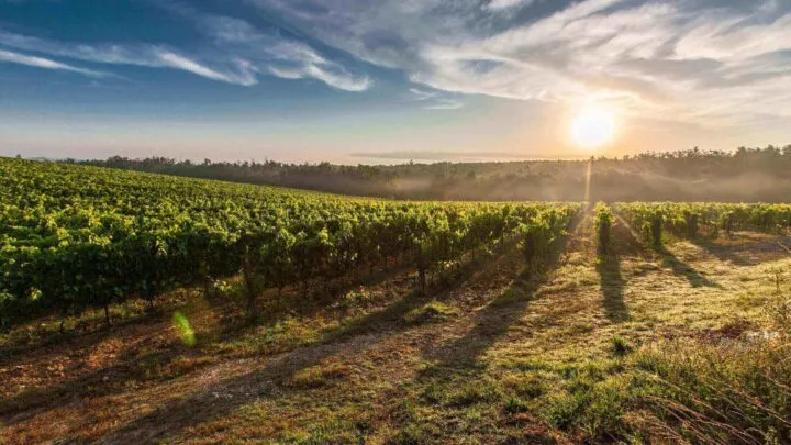 frazionamento terreno agricolo